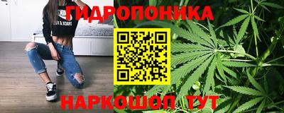 трава Дубна