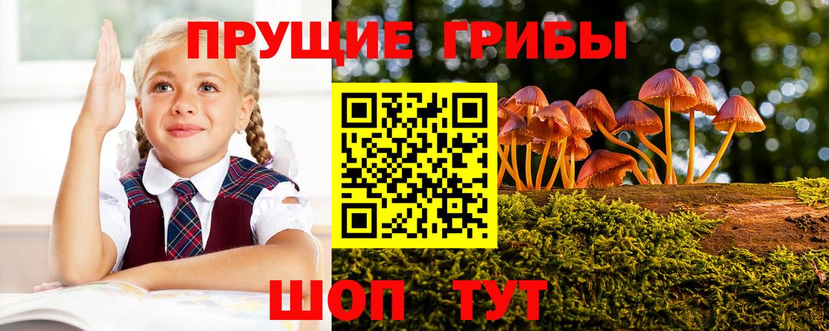 Галлюциногенные грибы Psilocybine cubensis Лыткарино