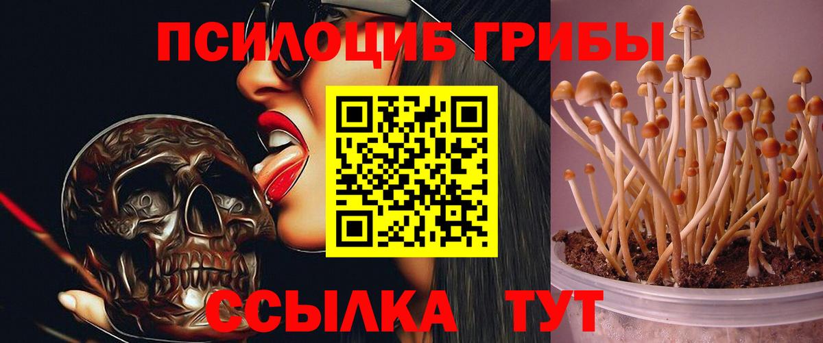 Лыткарино  Галлюциногенные грибы Magic Shrooms  Вход с VPN 